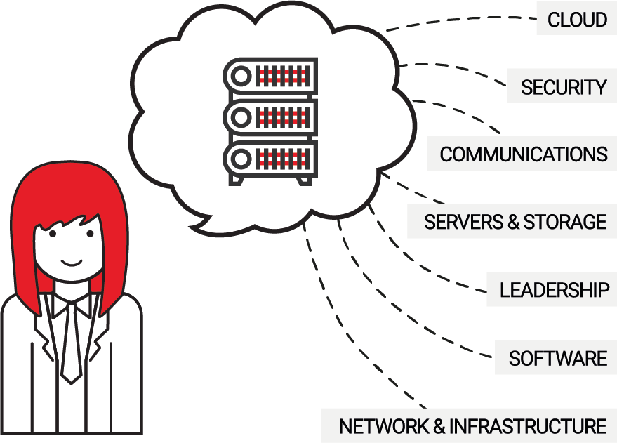 IT persona explained by IT professional