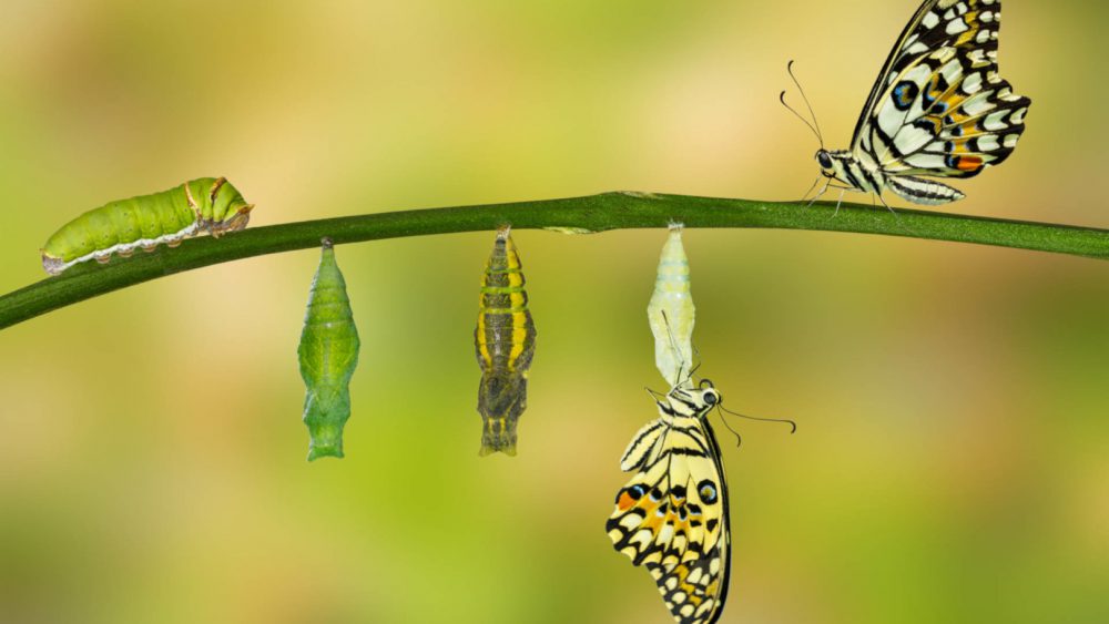 Why B2B Content Marketing Has Changed Forever