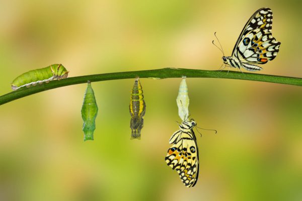 Why B2B Content Marketing Has Changed Forever