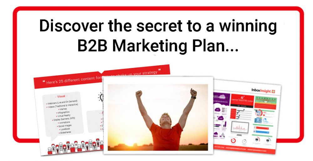 B2B Marketing Plan