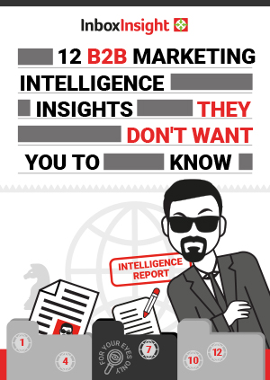 B2B marketing resource 12 B2B Intelligence Insights they dont want you to know