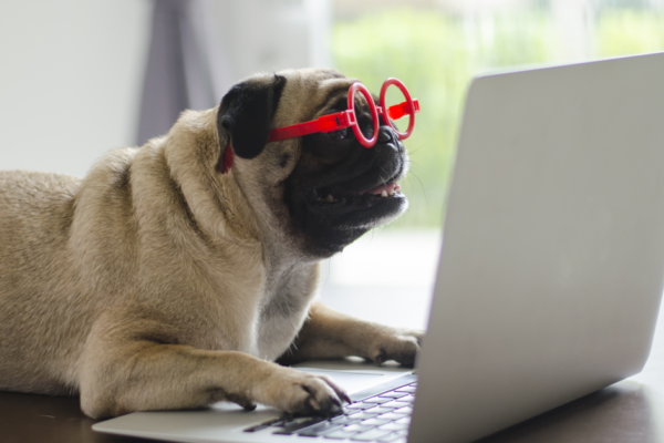 B2B Tech Buyer Behavior - Unique Insights for 202122
