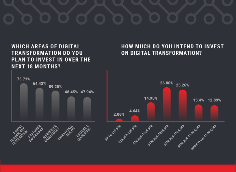 Digital Transformation Insights