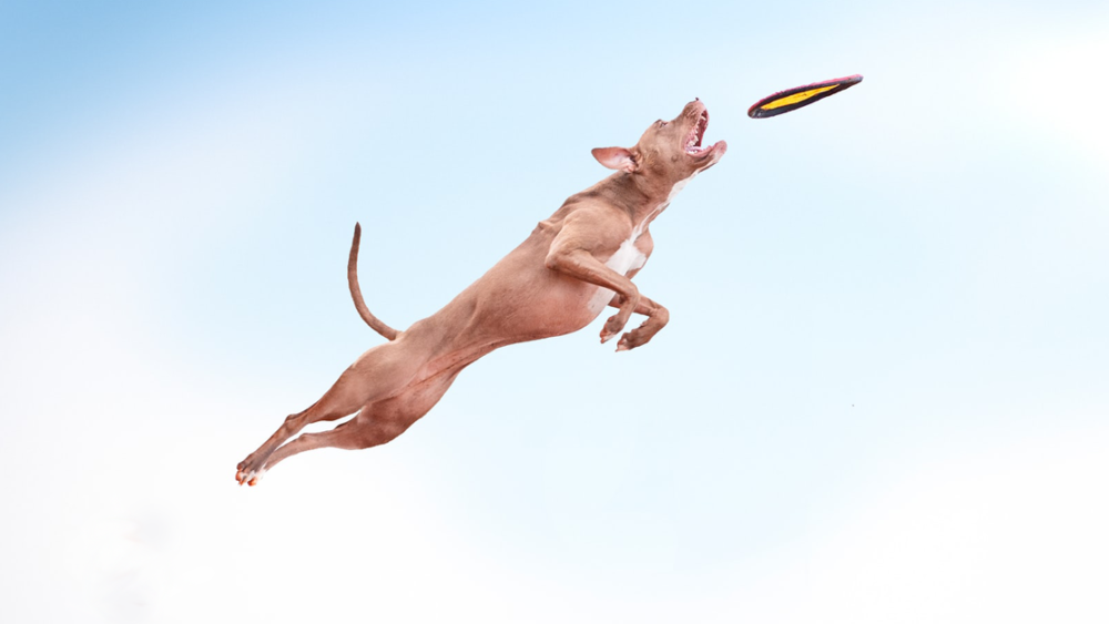 Market Research for B2B Marketing