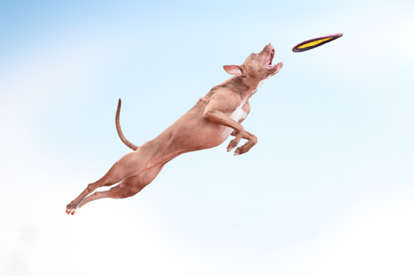 Benchmark for 2022: Essential Market Research to Make Your B2B Marketing Strategy Soar