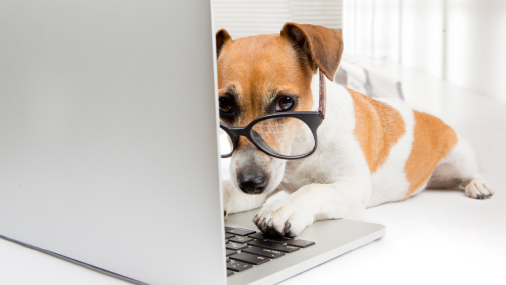 Your Multi Channel Content Strategy Needs Editing…