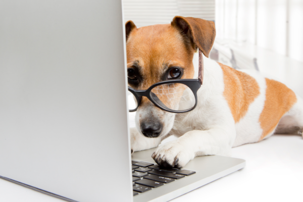 Your Multichannel Content Strategy Needs Editing…