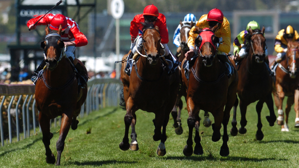 Winning Horse - Blog Header Image