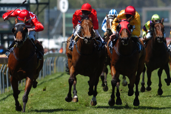 Winning Horse - Blog Header Image