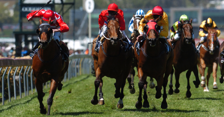 Winning Horse - Blog Header Image